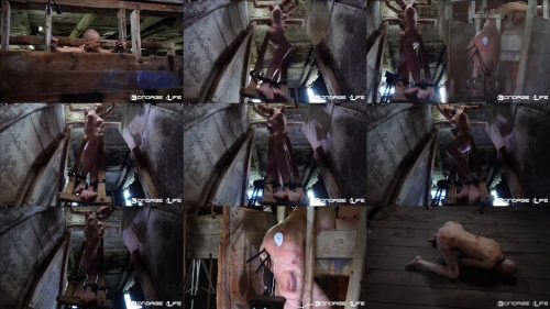 Extreme Bondage – Brutalmaster Cow Stall - Helpless Greyhound gets bound  to a suspended wooden frame and tormented and tortured