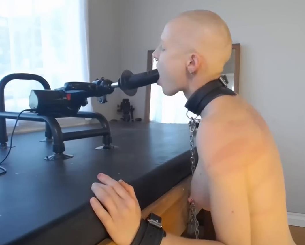 Leather Bondage – Head Shaving (BrutalMaster Fucking Machine Edition) - Greyhound is cufed with leather cuffs