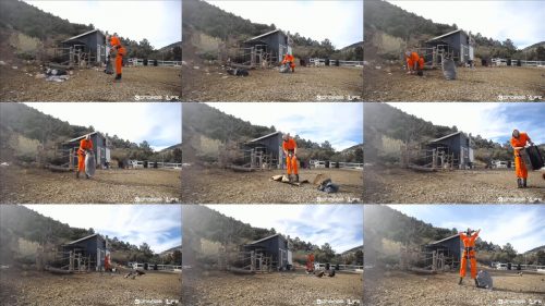 Outside Bondage – Yard work With Greyhound (And Chickens) – 12/16/2019 - Cuffed Greyhound with handcuffs and leg iron