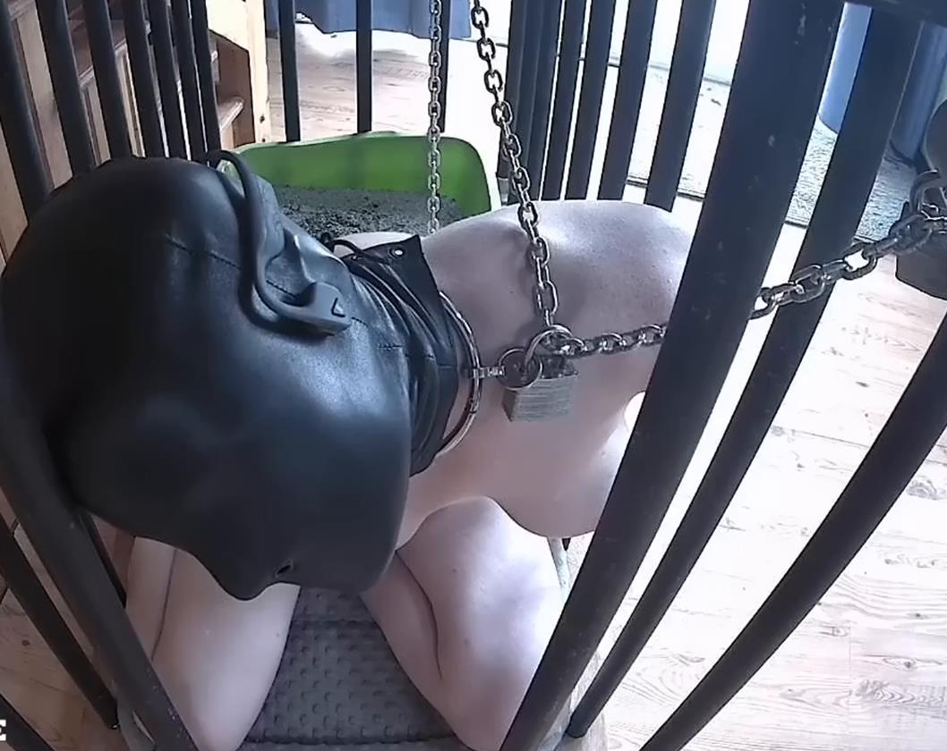 Metal Bondage - Rachel Greyhound is bound and helpless in her old cage – Cage Time (Sensory Deprivation Edition)