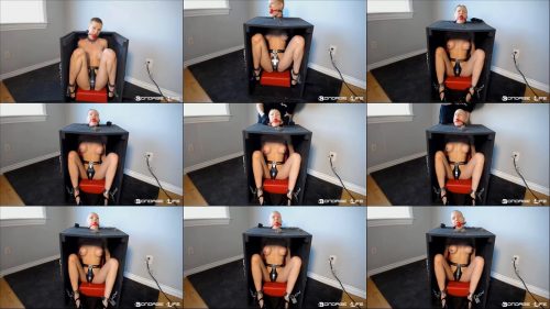 Tight Bondage – Box Time (Head Shave Edition) - Gagged Rachel Greyhound is bound with metal and metal belt - Metal Bondage 