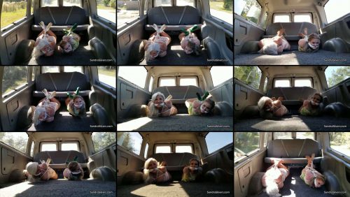 Female Bondage - Milf Sandra Silvers & Whitney Morgan Hogtied in Heels - Get a Surprise Van Ride Part 1
