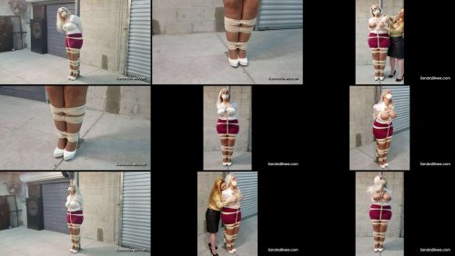 Sandra Silvers pole tied for gropes by Lisa HD