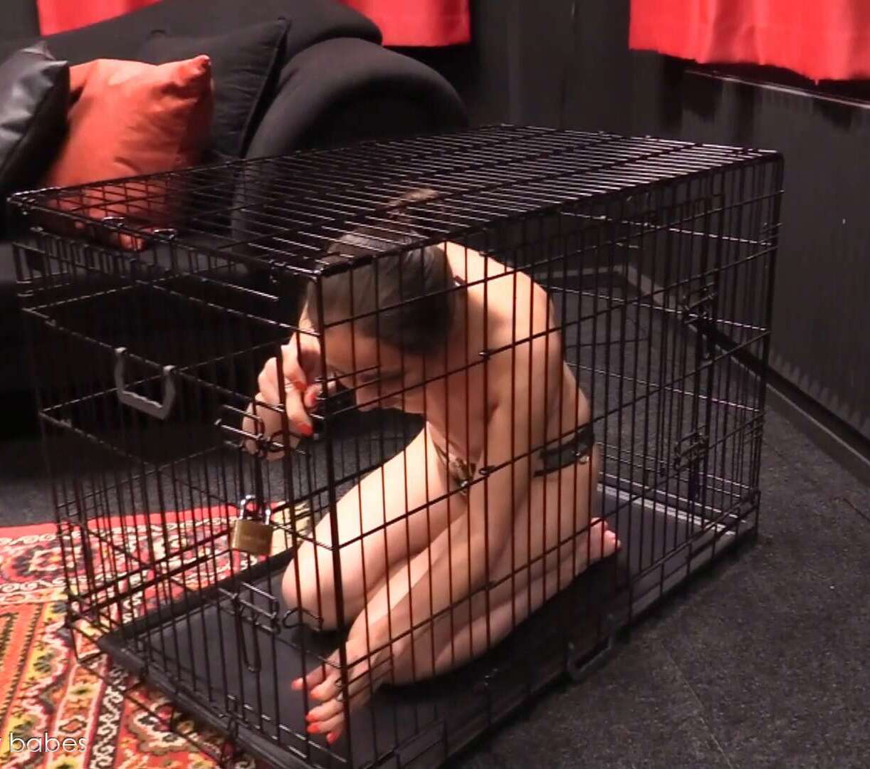 Emilia - cage testing